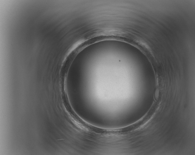 X0000061121114200511241702