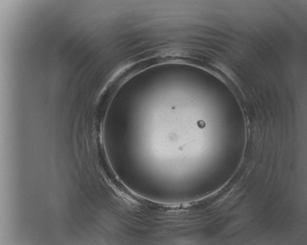 X0000061121115200511241702