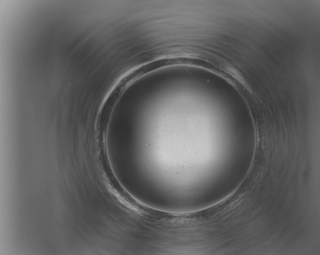 X0000061121116200511241702