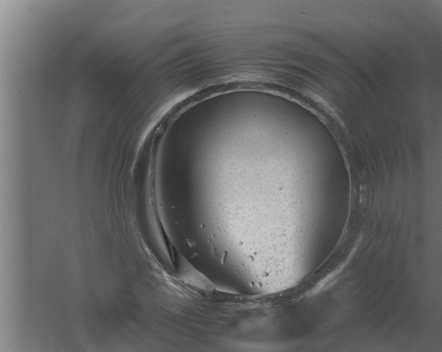 X0000061121117200511241702