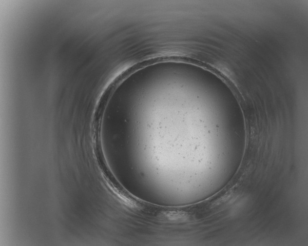 X0000061121119200511241702