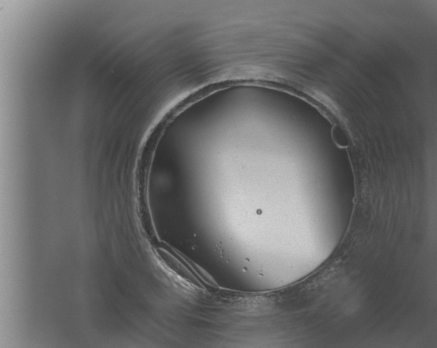 X0000061121120200511241702