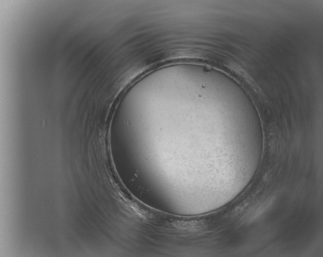 X0000061121121200511241702