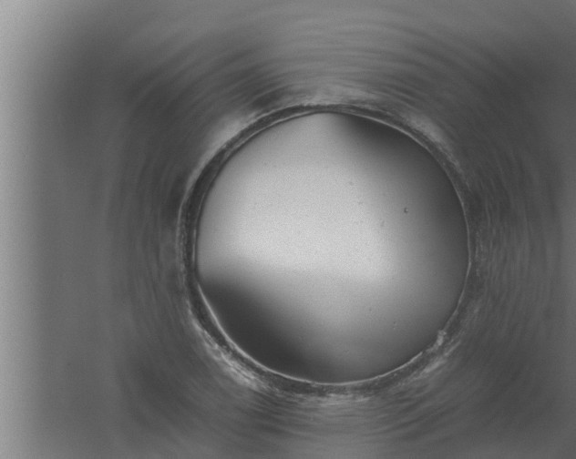 X0000061121122200511241702