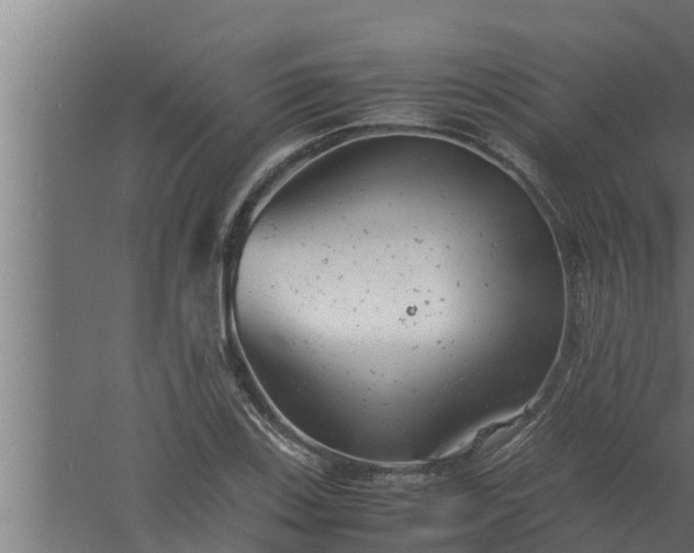 X0000061121123200511241702