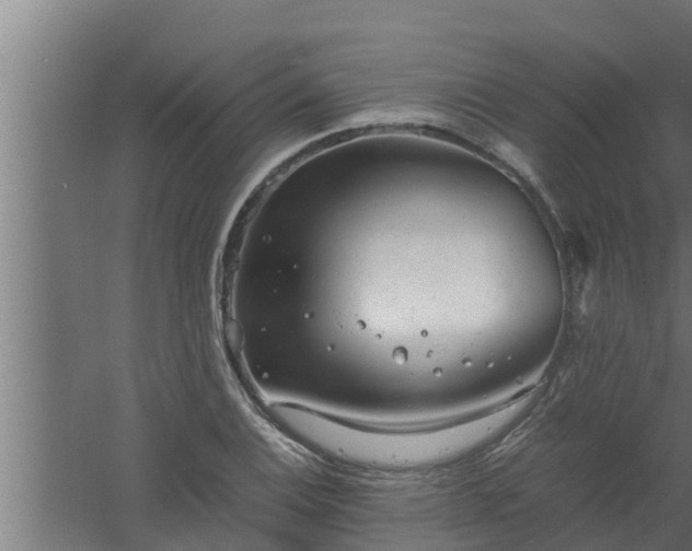 X0000061121124200511241702