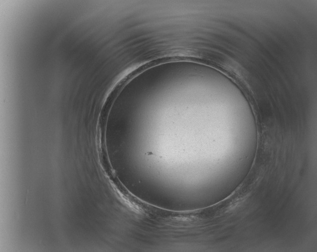 X0000061121125200511241702