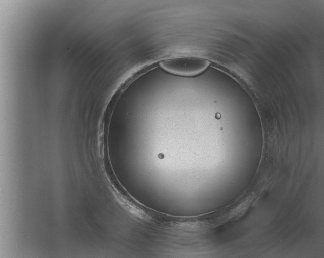 X0000061121126200511241702