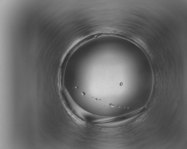 X0000061121128200511241703