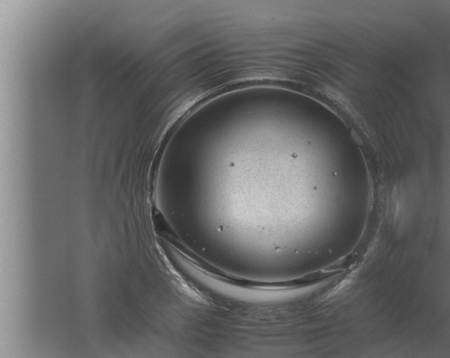 X0000061121129200511241703