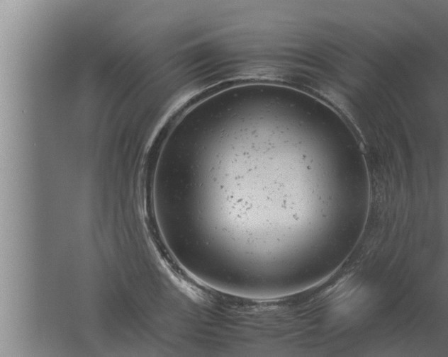 X0000061121131200511241703