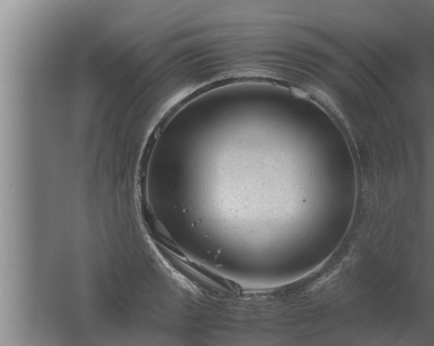 X0000061121133200511241703