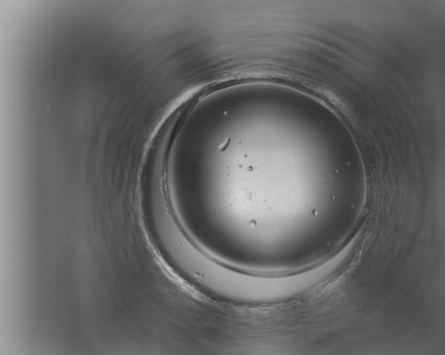 X0000061121134200511241703