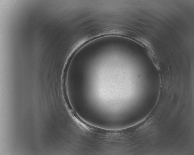 X0000061121135200511241703