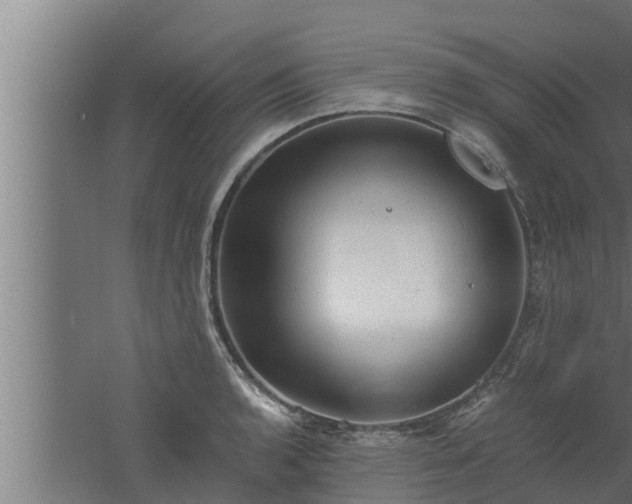 X0000061121136200511241703