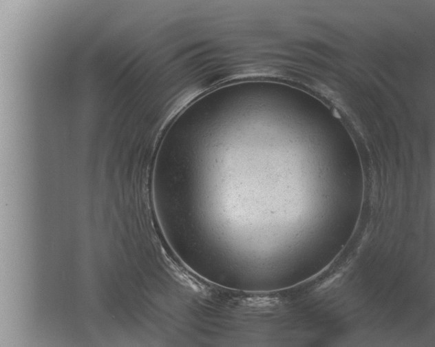 X0000061121137200511241703