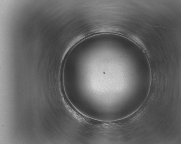 X0000061121138200511241703