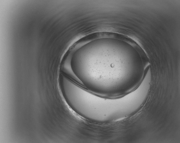 X0000061121139200511241703