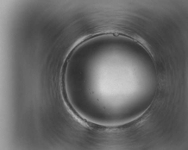 X0000061121142200511241703