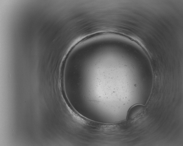 X0000061121143200511241703