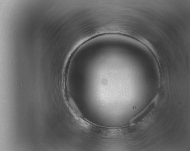 X0000061121144200511241703