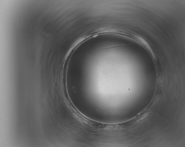 X0000061121146200511241703