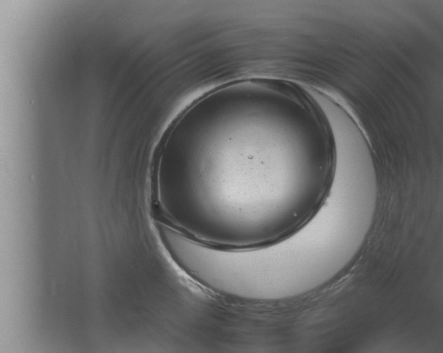 X0000061121147200511241703