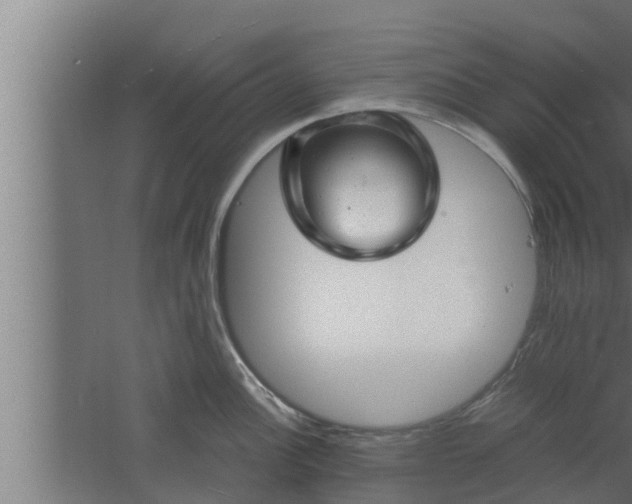 X0000061121148200511241703