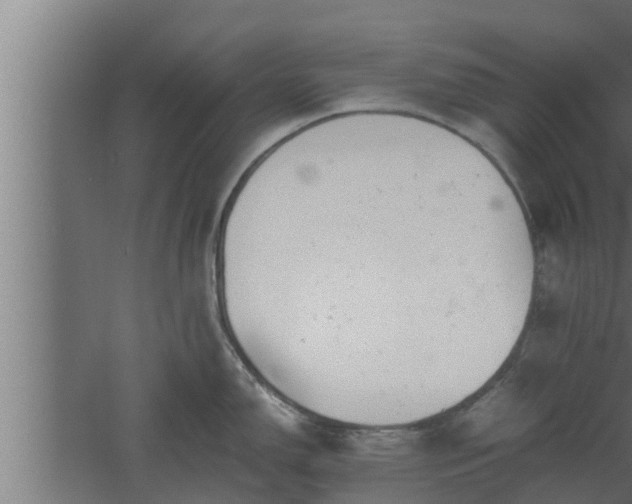 X0000061121150200511241703