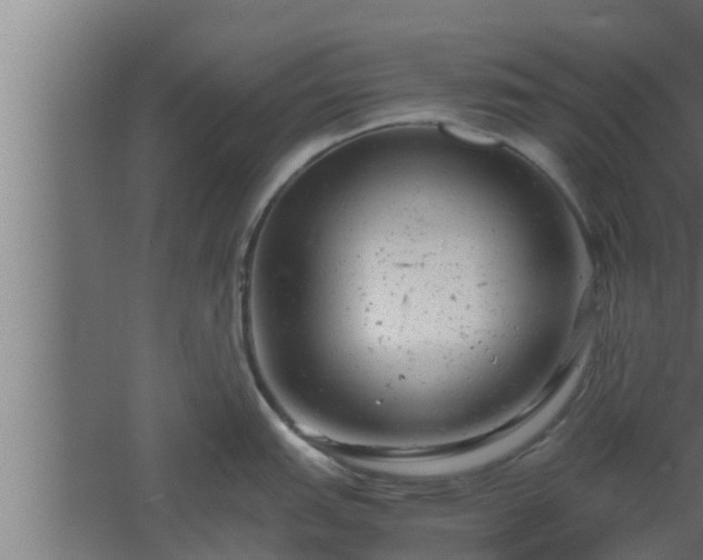 X0000061121151200511241703