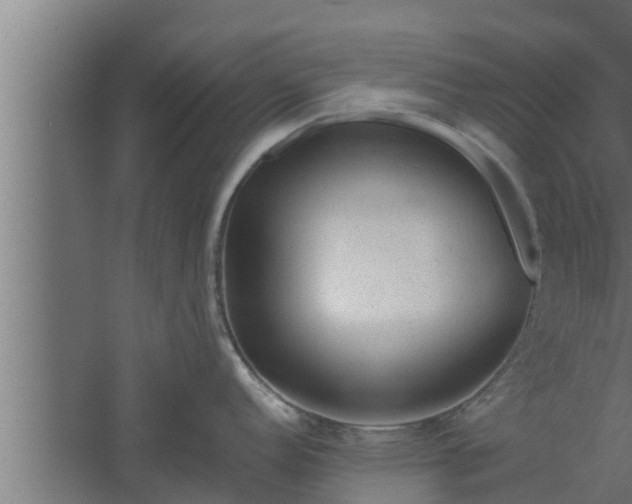 X0000061121152200511241703