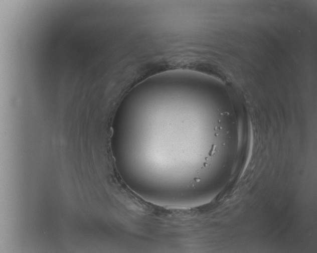 X0000061121153200511241702