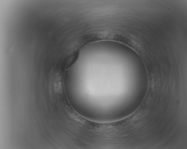 X0000061121154200511241702