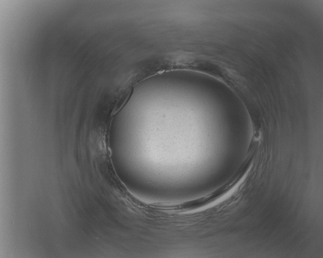 X0000061121155200511241702