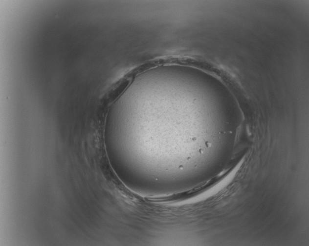 X0000061121159200511241702