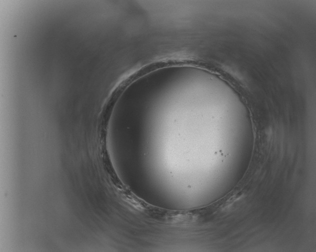 X0000061121160200511241702