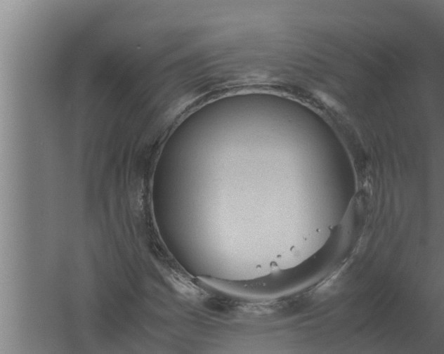 X0000061121161200511241702