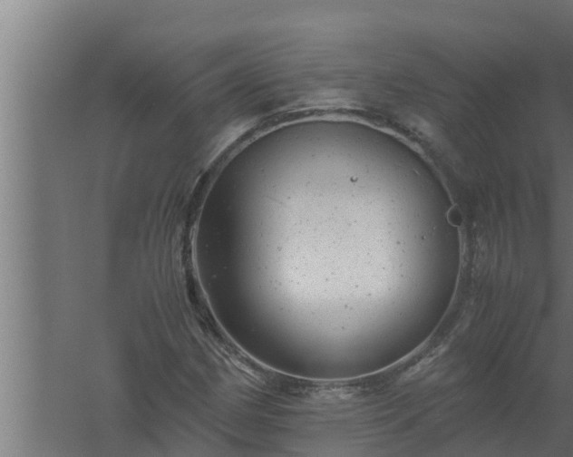 X0000061121162200511241702