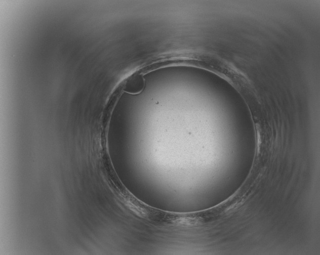 X0000061121166200511241702