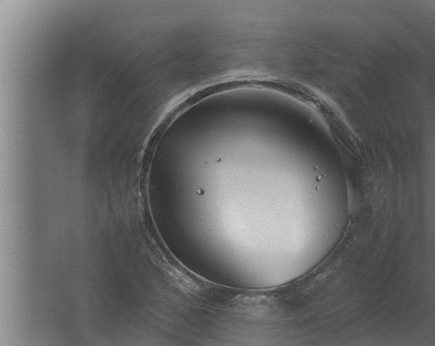 X0000061121168200511241702