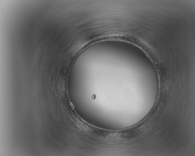 X0000061121169200511241702