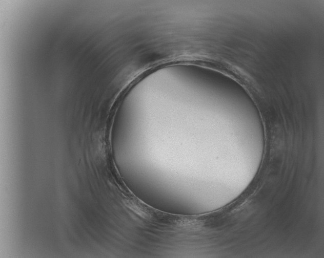 X0000061121170200511241702