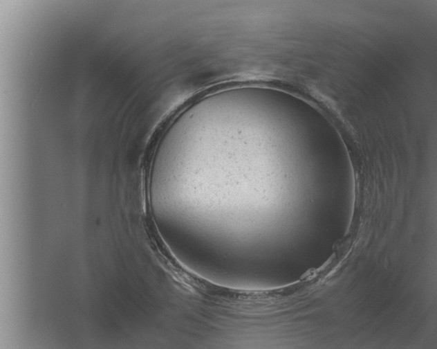 X0000061121171200511241702