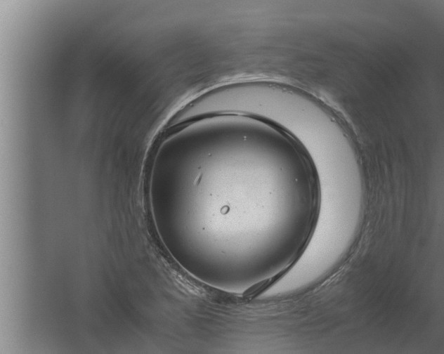 X0000061121173200511241702