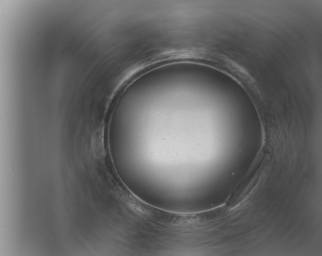 X0000061121174200511241702