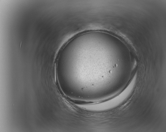 X0000061121175200511241702