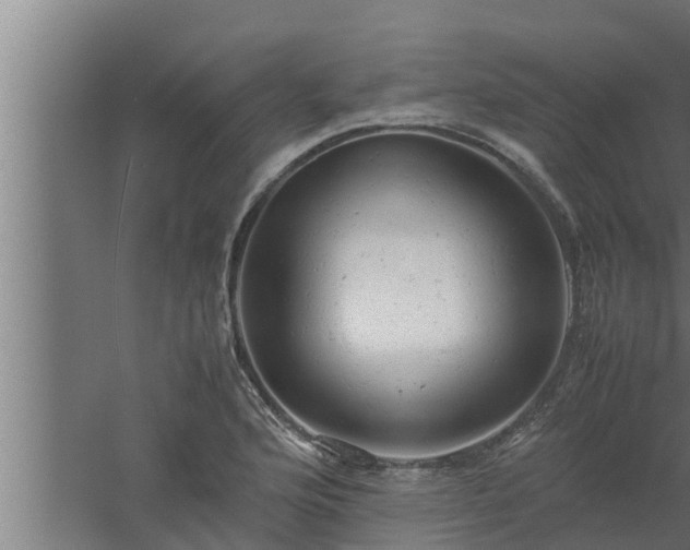 X0000061121176200511241702