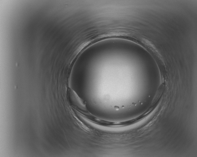 X0000061121177200511241702