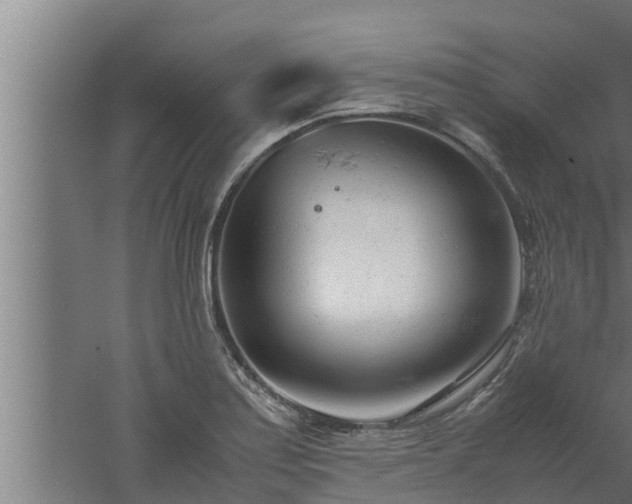 X0000061121179200511241702