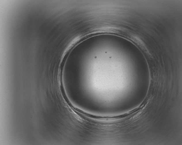 X0000061121180200511241702